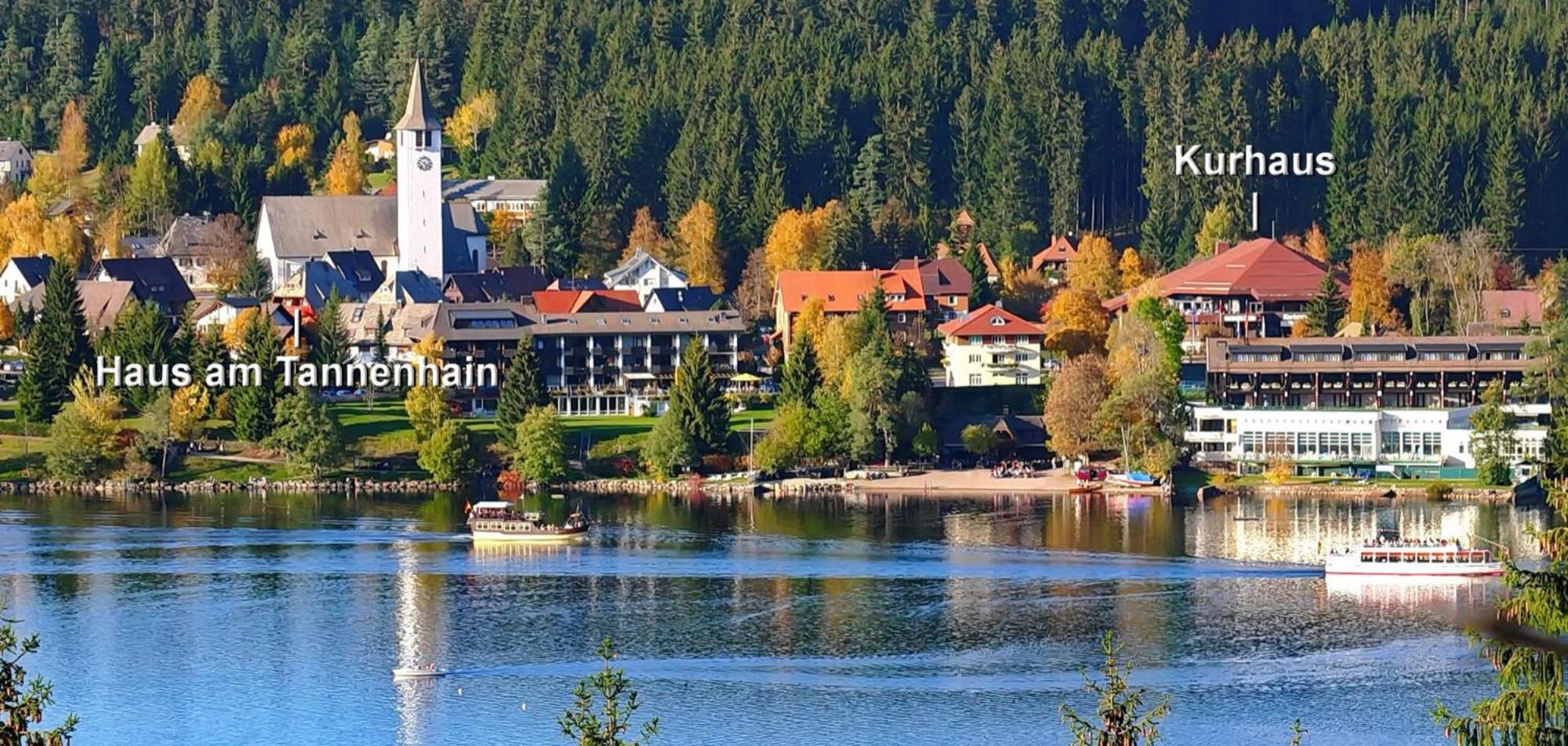 Haus Am Tannenhain Titisee-Neustadt Exterior foto