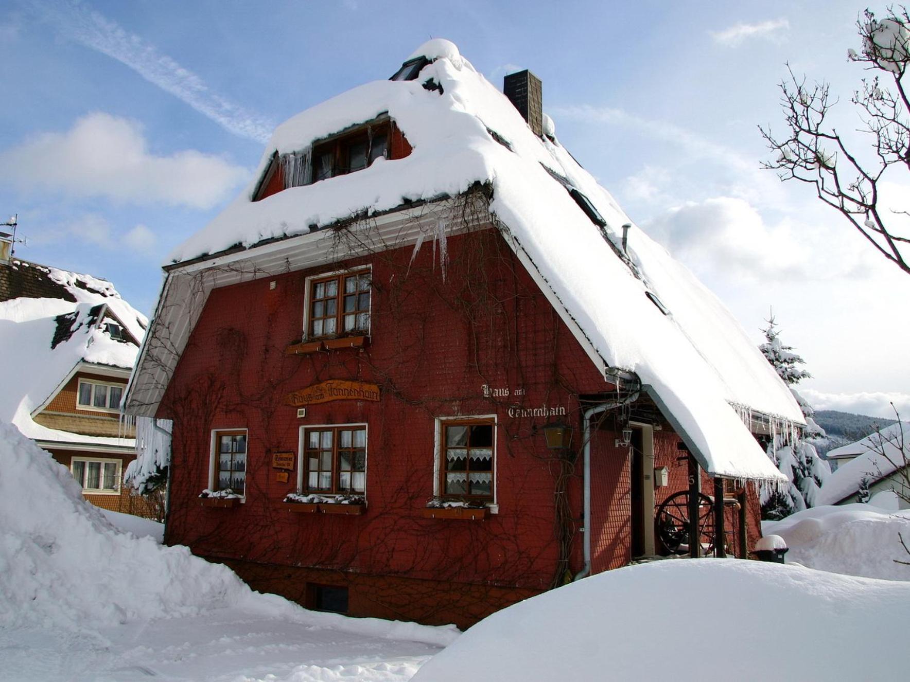 Haus Am Tannenhain Titisee-Neustadt Exterior foto