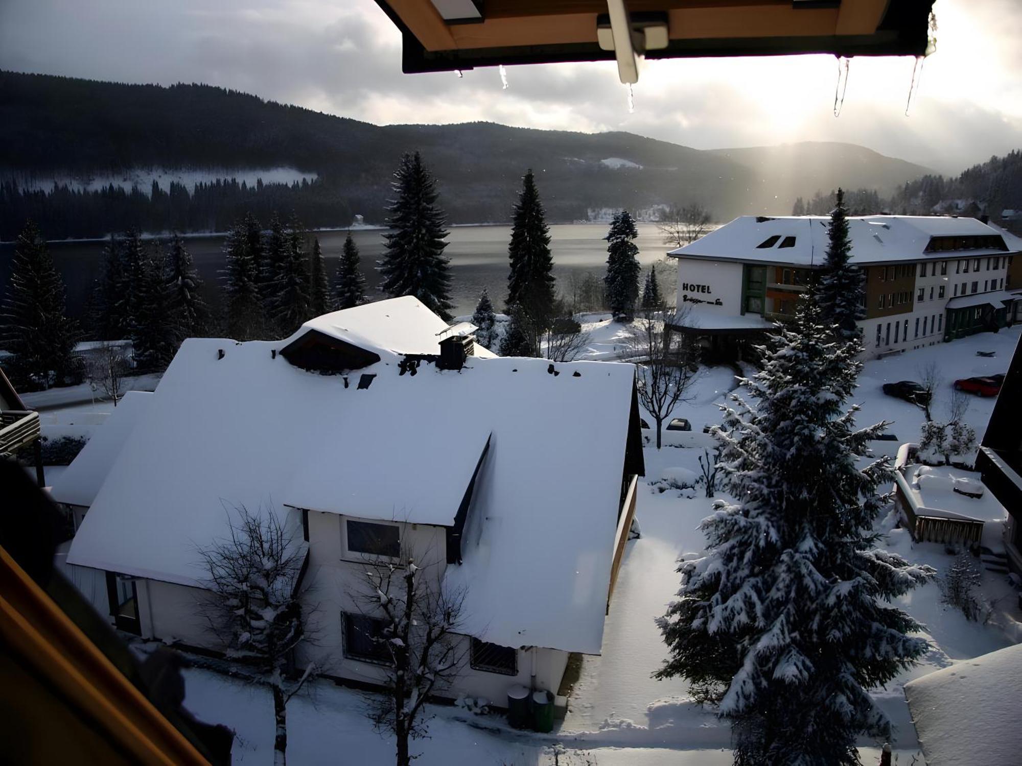 Haus Am Tannenhain Titisee-Neustadt Exterior foto